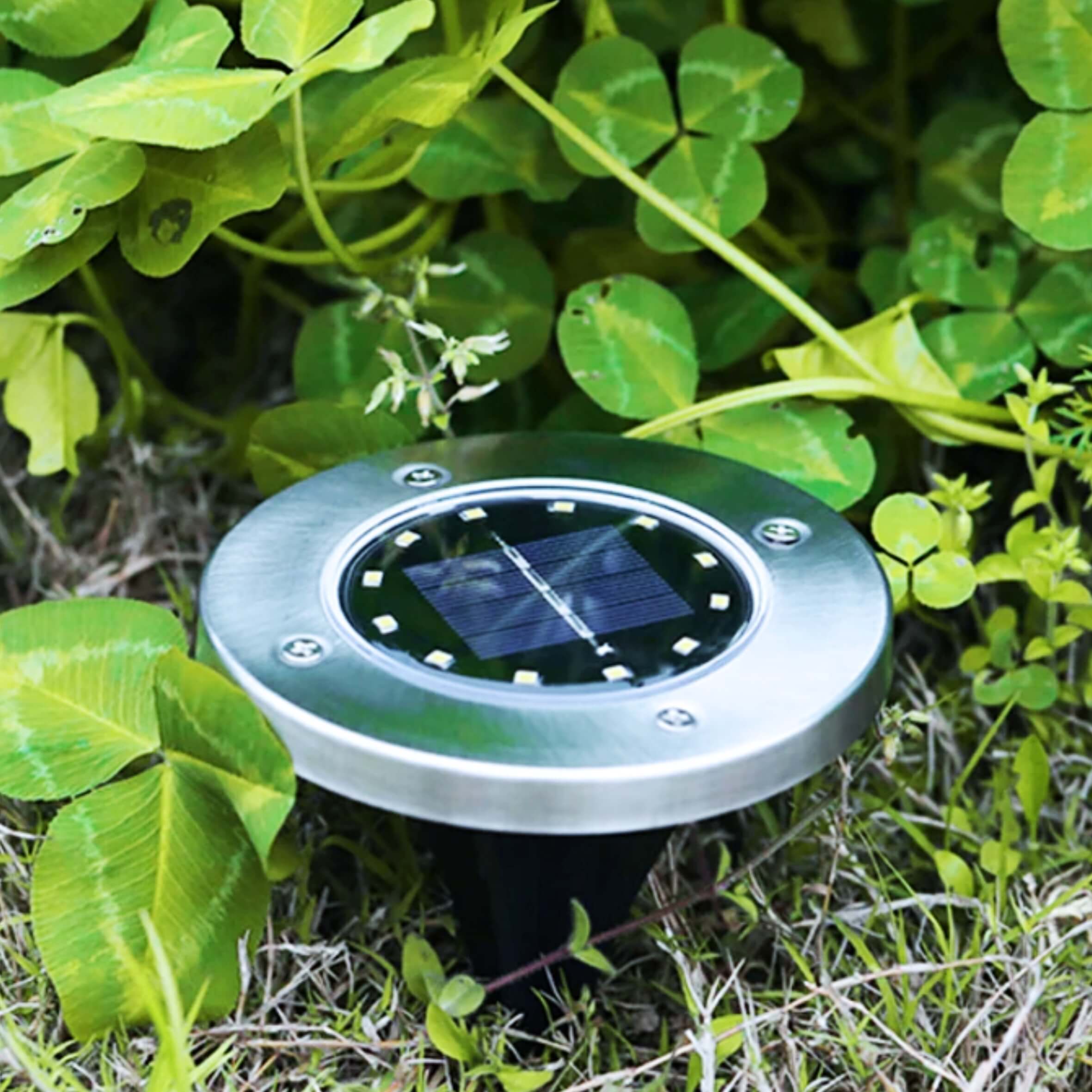 SolaSpot™ - Solar Pathway Lights